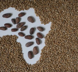 African Cocoa Marketplace launches new platform to boost global trade