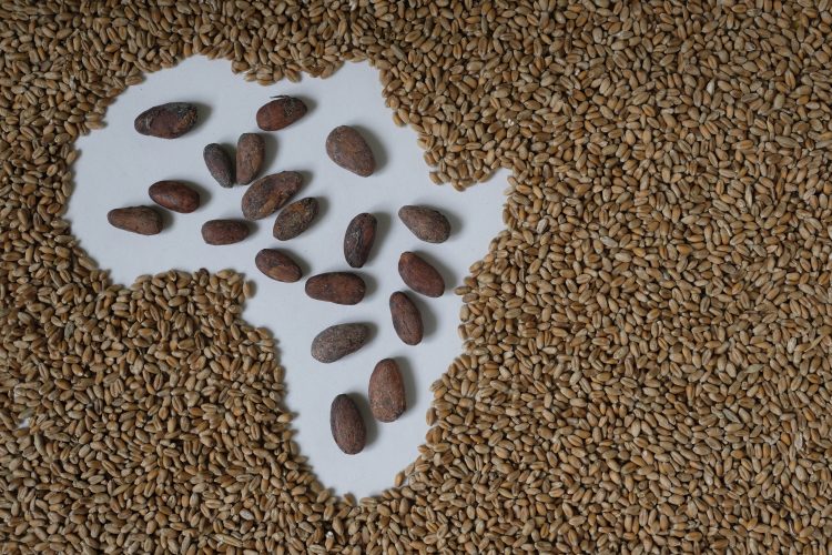 African Cocoa Marketplace launches new platform to boost global trade