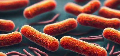 Amino acid discovery could help combat food poisoning