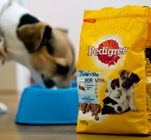 Mars unveils 100 percent renewable energy plan for Australian pet food site