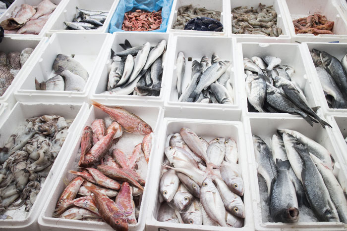 Fishy business: project sets out to turn polystyrene boxes into