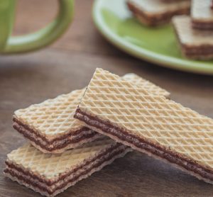 wafer-biscuit