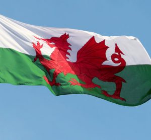 wales-fdf-cymru