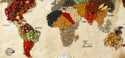 World map in food